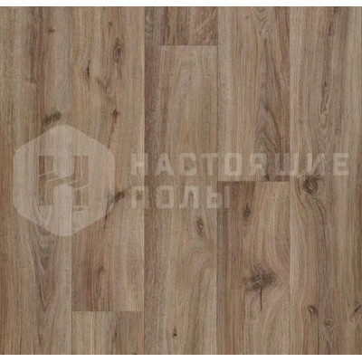 Проектный винил Forbo Eternal Wood 10852 chocolate oak, 2000 мм