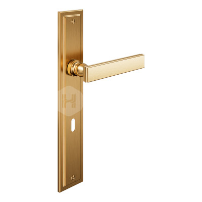 Дверная ручка на планке с отверстием под ключ буратино dnd Lucrezia 02 LT10P PVD-SG